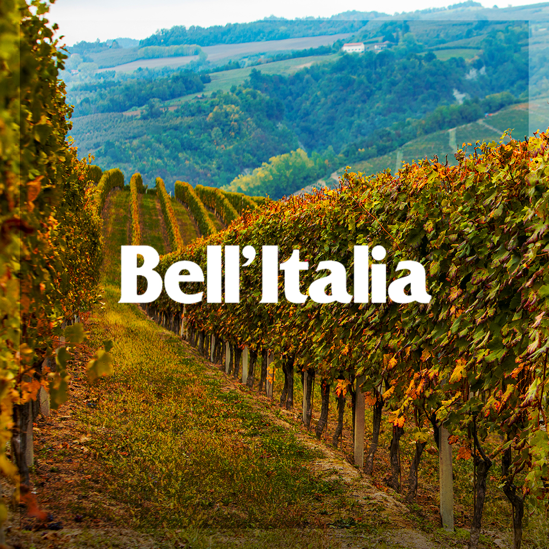 Precious Rows on the ‘Cucco’ of the Hill