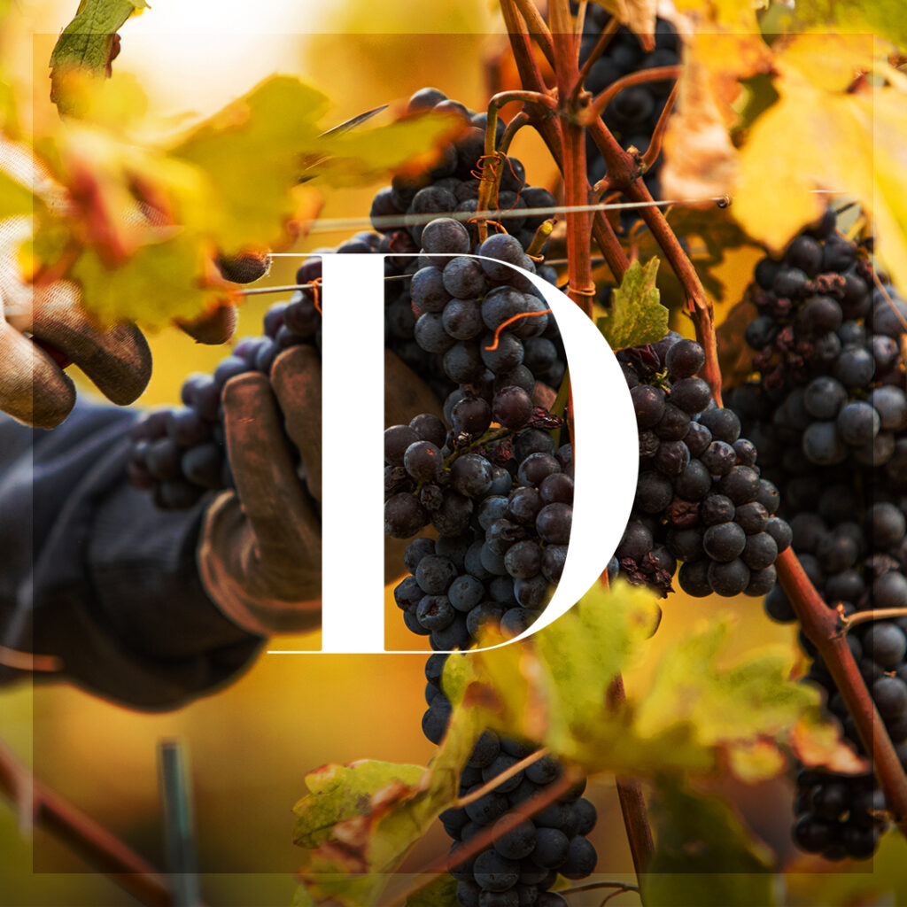 Un Dolcetto Eclettico