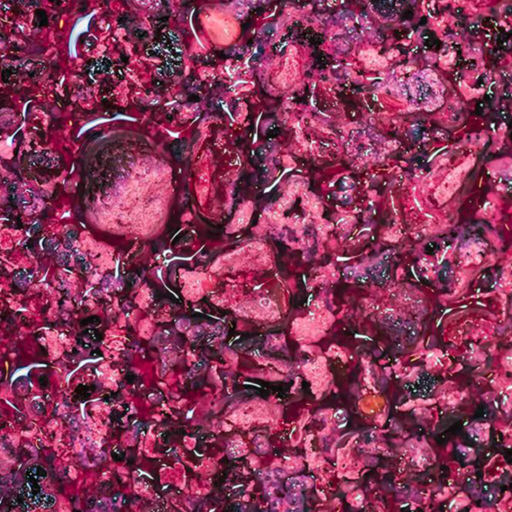 Il grande fascino dei lieviti autoctoni