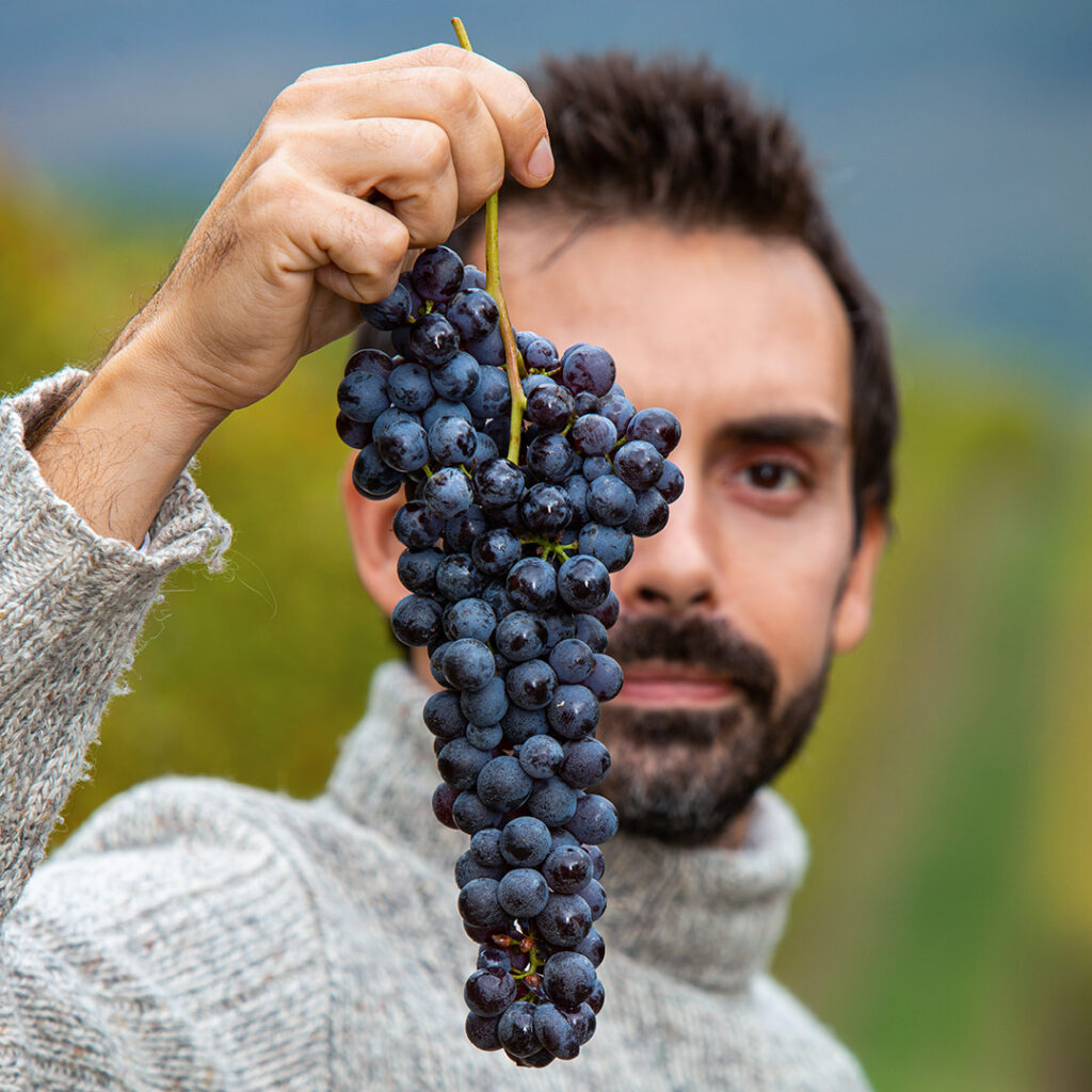 Tenuta Cucco: la ricostruzione di un cru storico